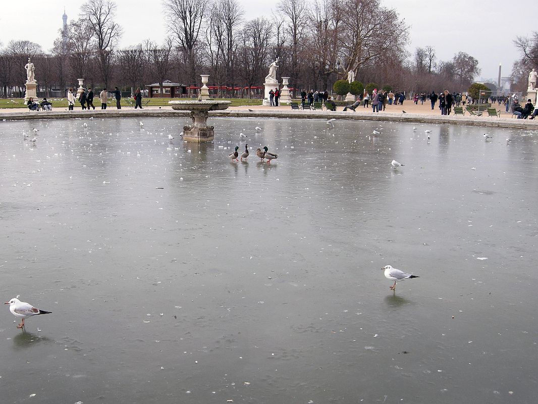 Paris 04 Frozen Grand Basin With View Towards Tuileries Garden And Place de la Concorde 